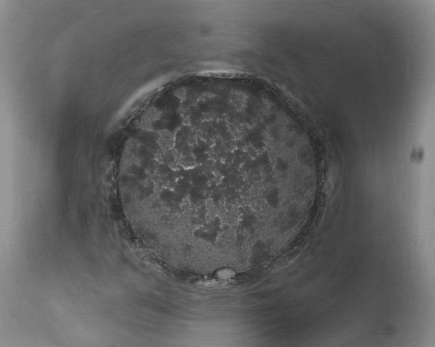 X0000112001351200908171409