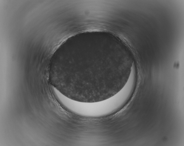 X0000112001353200908171409