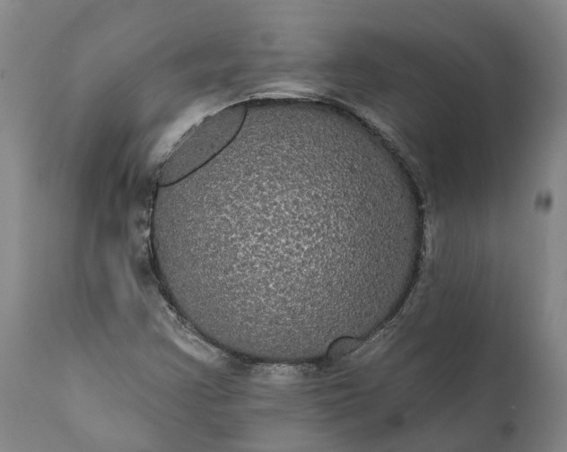 X0000112001355200908171409