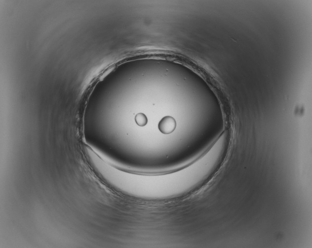 X0000112001357200908171409