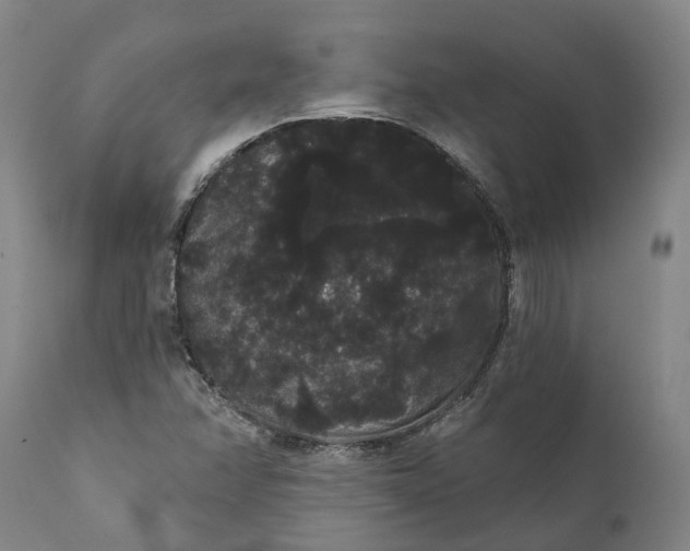 X0000112001358200908171409