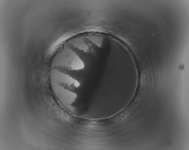 X0000112001359200908171409