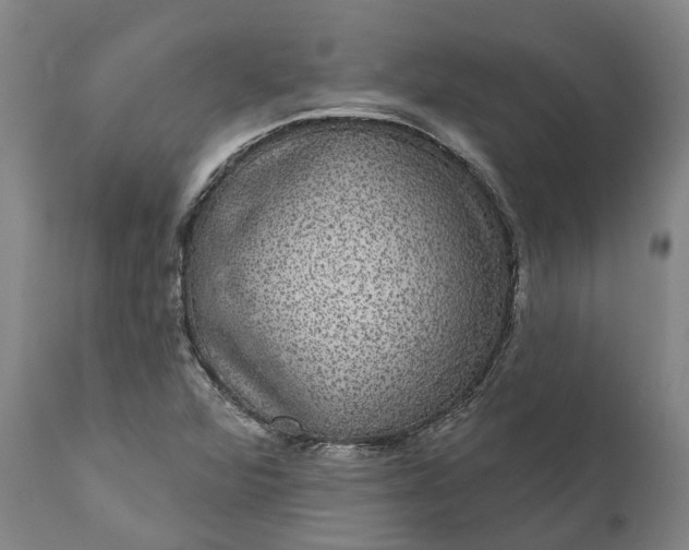 X0000112001360200908171409