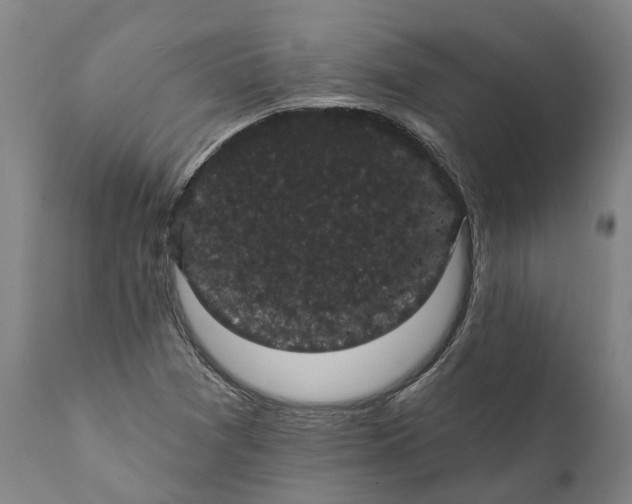 X0000112001361200908171409