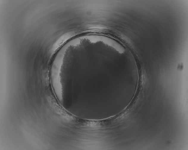 X0000112001362200908171409