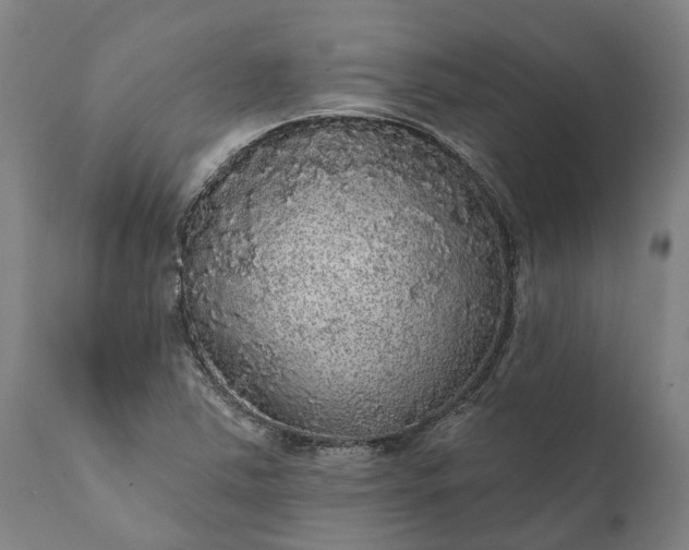 X0000112001363200908171409