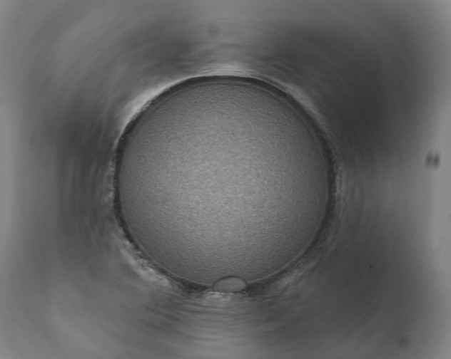 X0000112001364200908171409