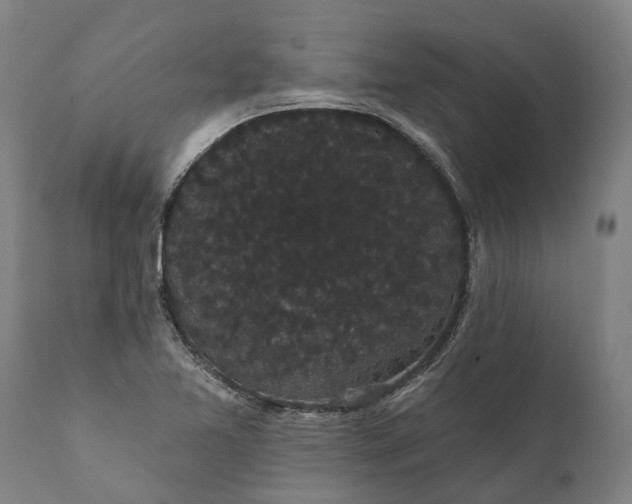 X0000112001365200908171409