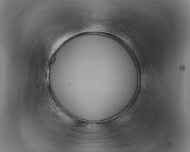 X0000112001366200908171409