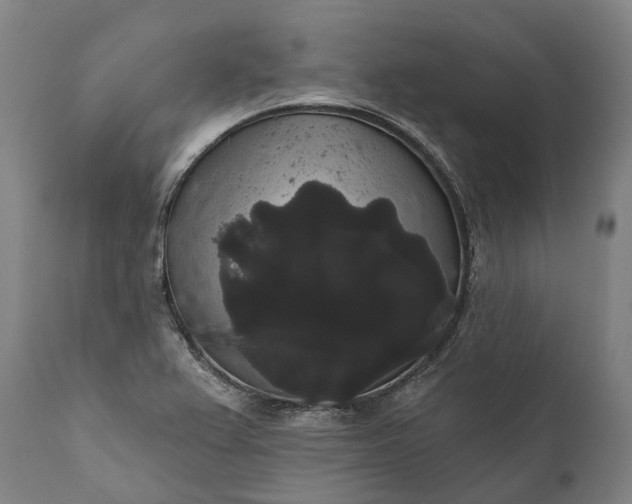 X0000112001367200908171409