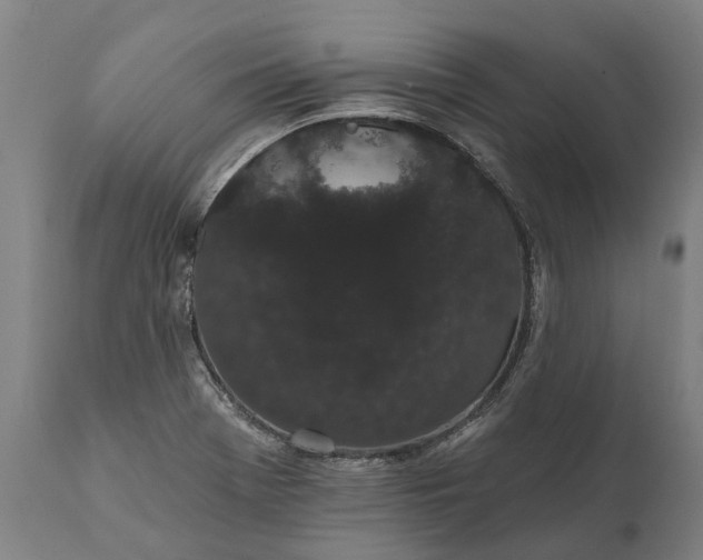 X0000112001369200908171409