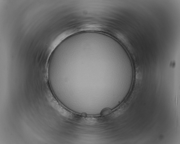 X0000112001370200908171409