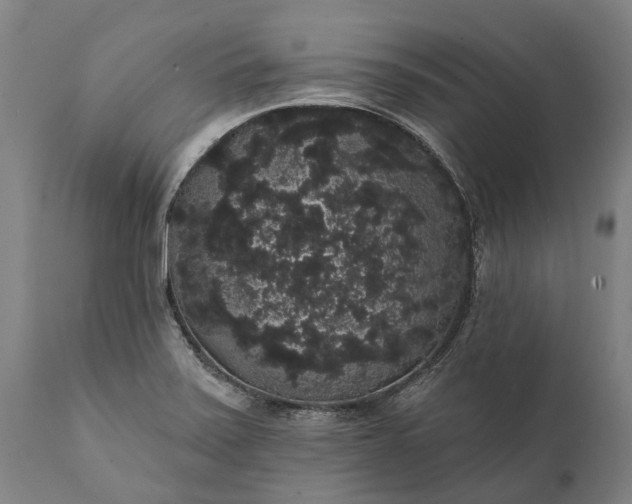 X0000112001371200908171409