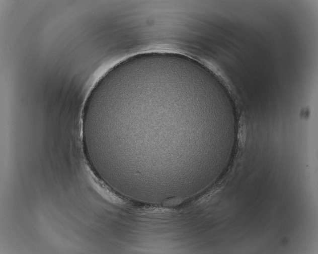 X0000112001372200908171409