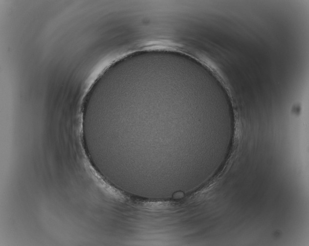 X0000112001376200908171409