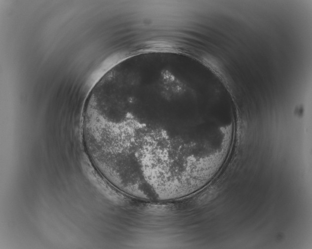 X0000112001378200908171409