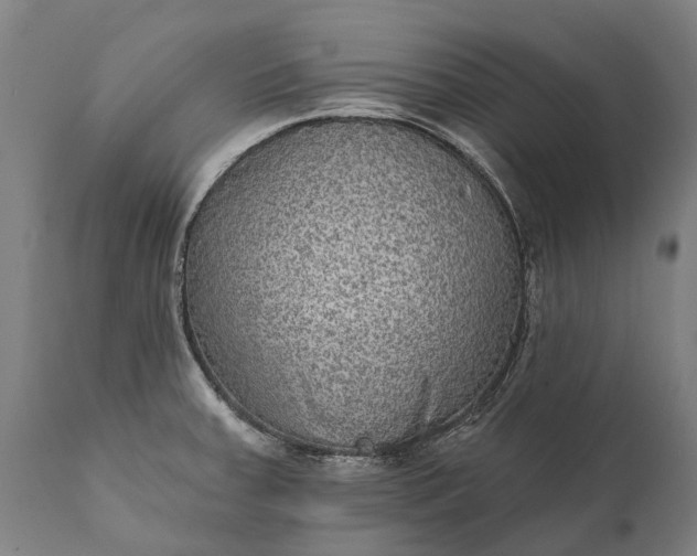 X0000112001379200908171409