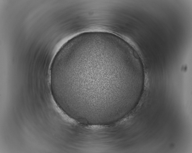 X0000112001380200908171409