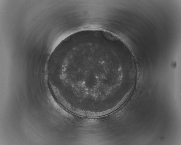 X0000112001382200908171409