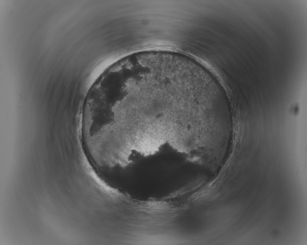 X0000112001383200908171409