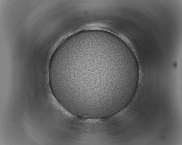 X0000112001384200908171409