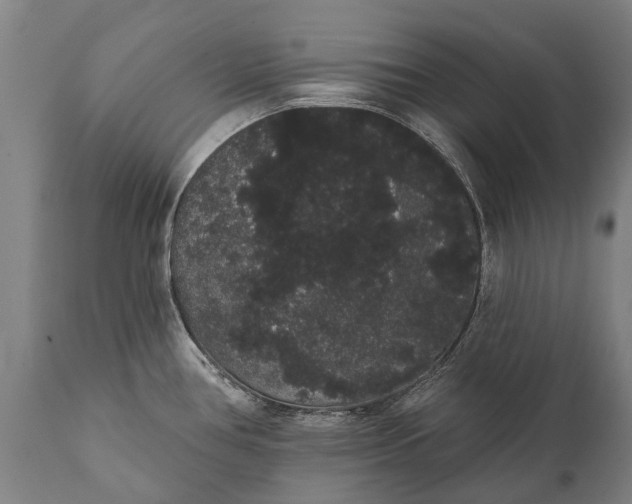 X0000112001386200908171409