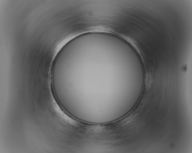 X0000112001387200908171409