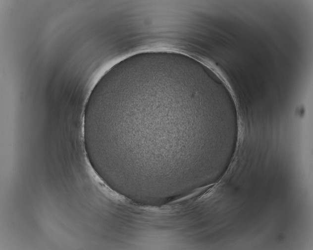 X0000112001388200908171409