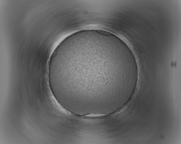 X0000112001392200908171409