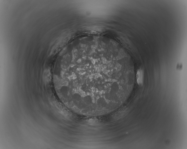 X0000112001395200908171408