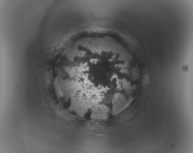 X0000112001397200908171408