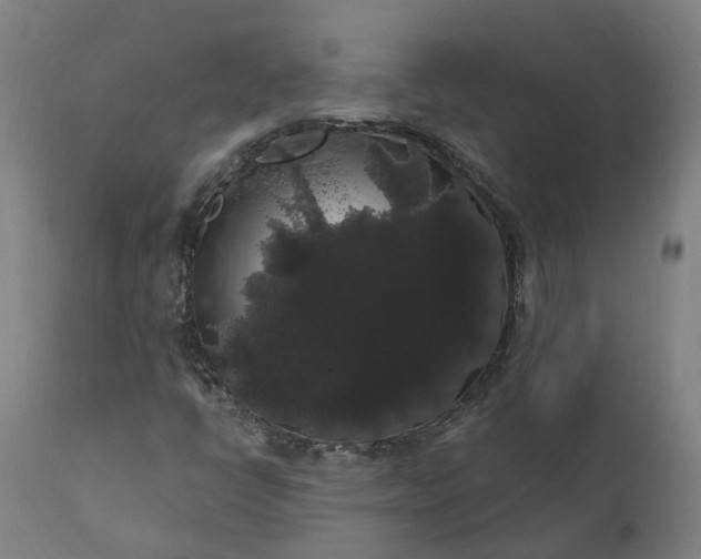 X0000112001398200908171408