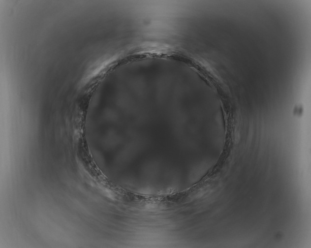 X0000112001399200908171408