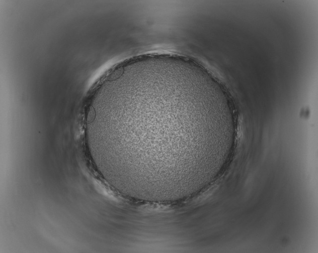 X0000112001400200908171408