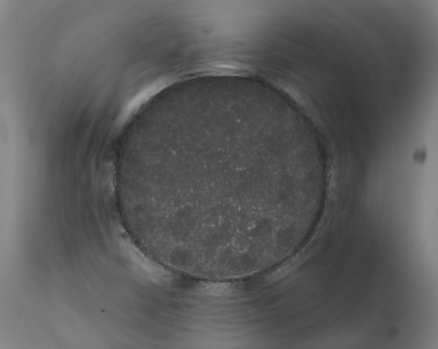 X0000112001402200908171408