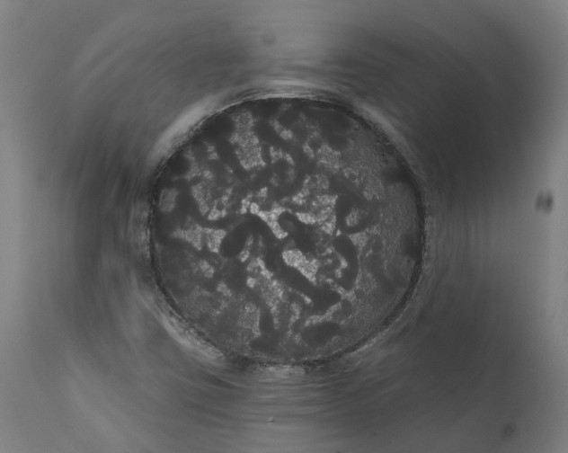 X0000112001403200908171408