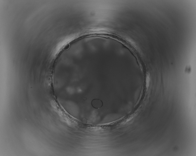 X0000112001405200908171408