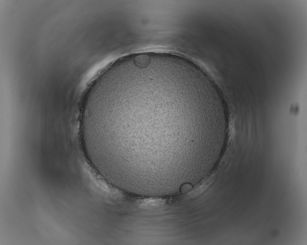 X0000112001406200908171408