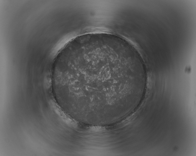 X0000112001407200908171408