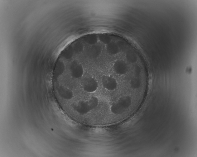 X0000112001409200908171408