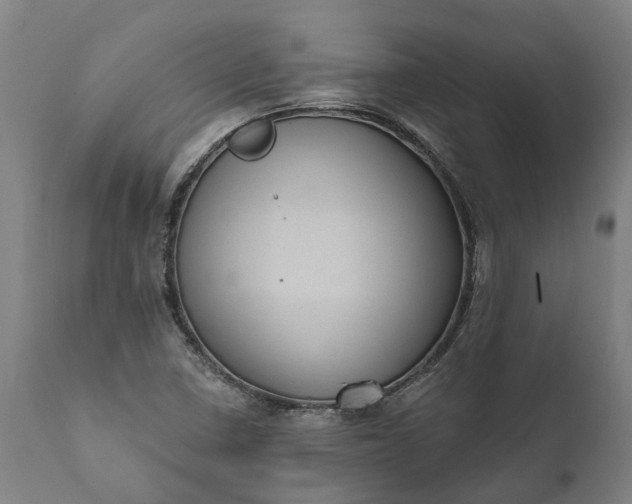 X0000112001410200908171408