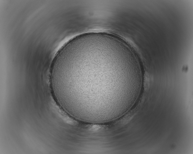 X0000112001412200908171408