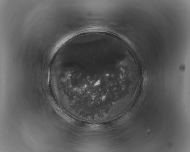 X0000112001413200908171408