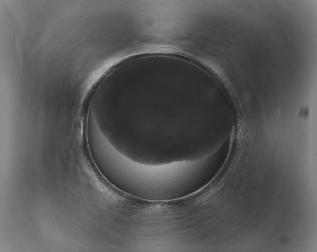 X0000112001414200908171408