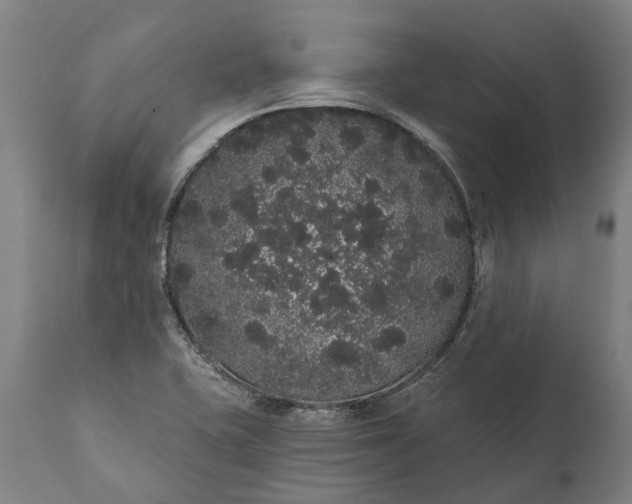 X0000112001415200908171408