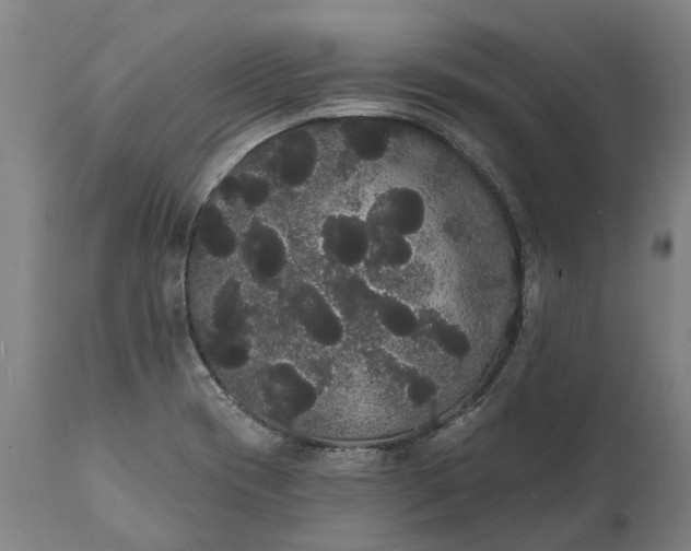 X0000112001417200908171408