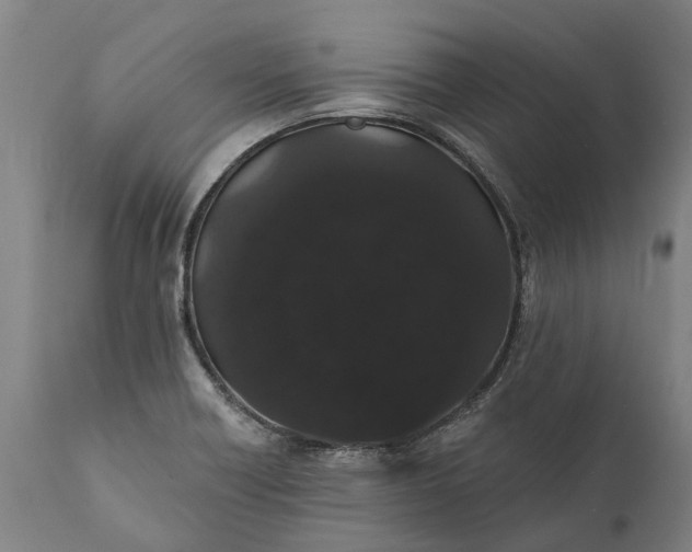 X0000112001418200908171408