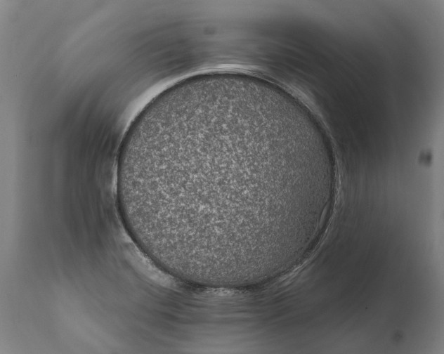 X0000112001420200908171408