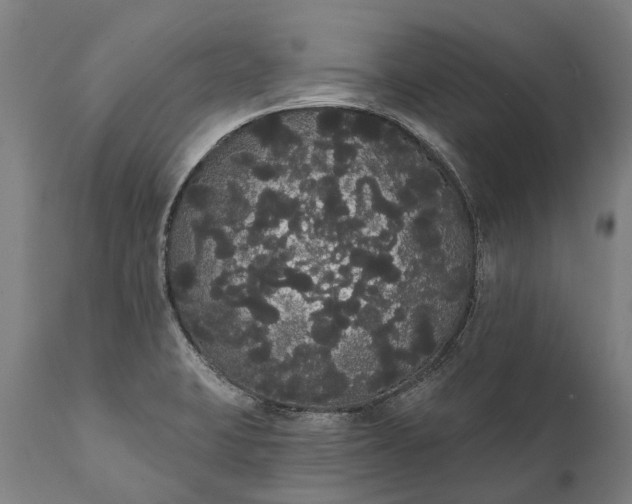 X0000112001423200908171408