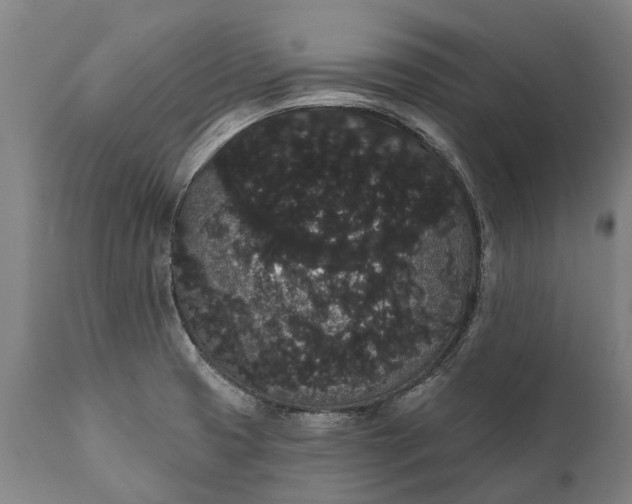 X0000112001425200908171408